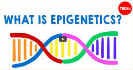 Epigenetics