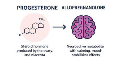Progesterone picture